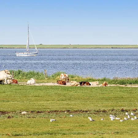 Tatil Evi In Ostseeresort Olpenitz